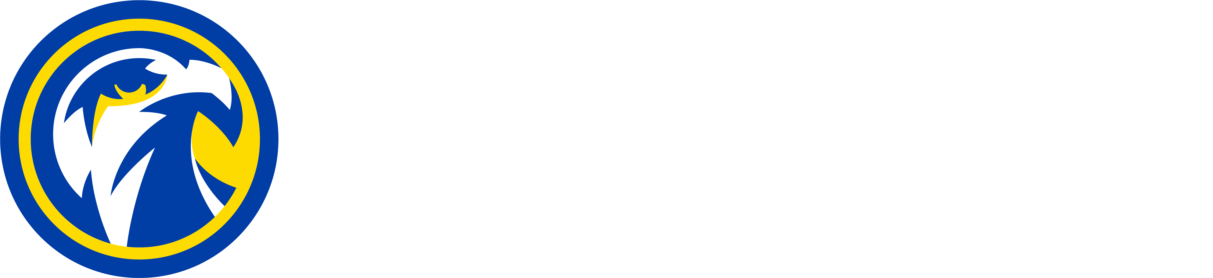 IRSC Logo