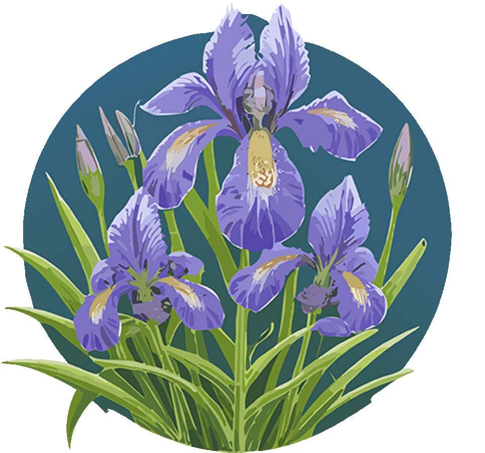 Sarah Morrigan Powers Moore